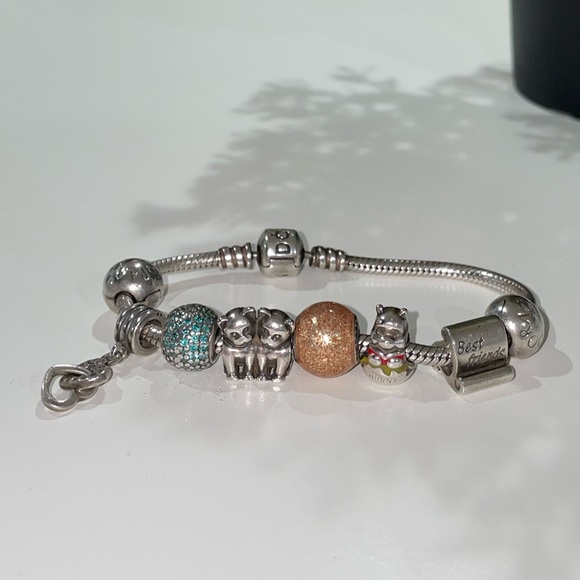 PANDORA BRACELET & CHARMS - Picture 1 of 9